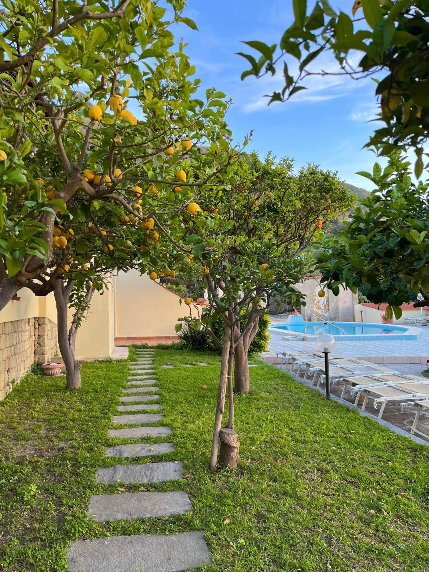 Resort Villa Flavio كازاميتْشيولا تيرمي المظهر الخارجي الصورة