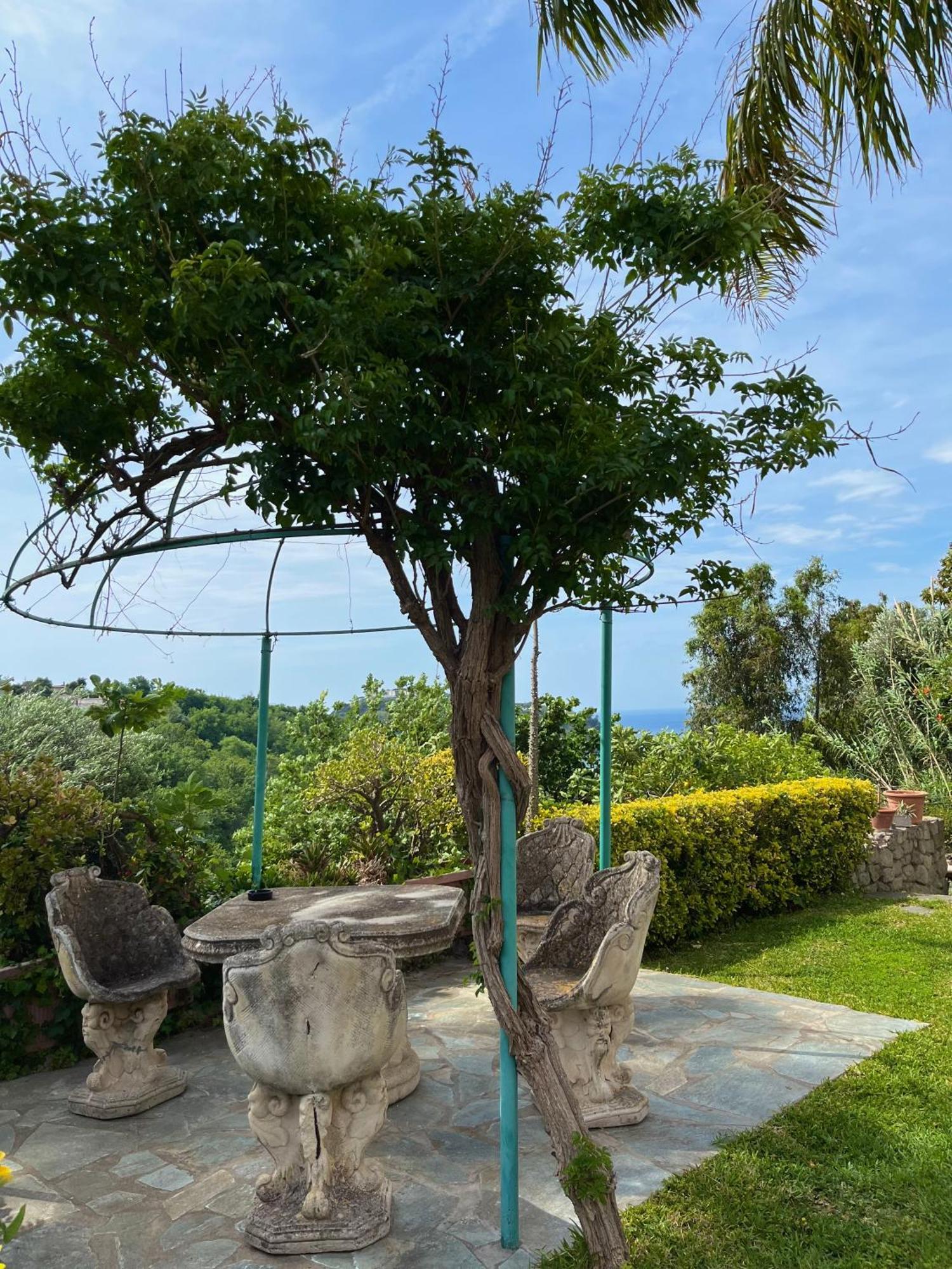 Resort Villa Flavio كازاميتْشيولا تيرمي المظهر الخارجي الصورة