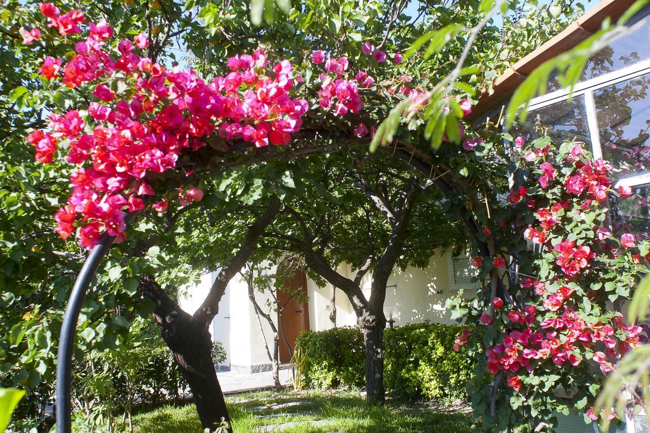 Resort Villa Flavio كازاميتْشيولا تيرمي المظهر الخارجي الصورة